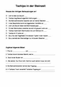 Vorschau themen/altsteinzeit/Tschipo in der Steinzeit.pdf